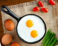 Delicious fried eggs in a hot pan Royalty Free Stock Photo