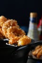 Delicious fried food, fried squid rings. Royalty Free Stock Photo