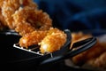 Delicious fried food, fried squid rings. Royalty Free Stock Photo