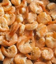 Fried shrimps with garlic Royalty Free Stock Photo