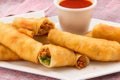 Delicious fried spring roll in a plate with sauce