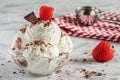 Delicious frozen dessert with strawberries. Ice cream decorated with chocolate chips. Cooling summer snack.