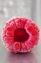 Delicious frozen raspberry on silver plate
