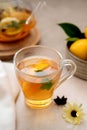 Delicious fruit tea with mint, herbs, lemons and orange slices. Glass teacup and glass cup of tea Royalty Free Stock Photo