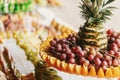 Delicious fruits appetizers, desserts on stand, modern sweet table at wedding or baby shower. Luxury catering concept. Fruit bar Royalty Free Stock Photo