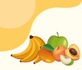 Delicious fruits cartoons