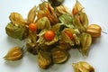 Fresh orange physalis or gooseberries