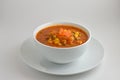 Garden vegetable soup Royalty Free Stock Photo