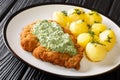 Delicious German food schnitzel with boiled new potatoes and the famous Frankfurt green sauce close-up in a plate. horizontal