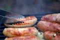 Delicious german sausages on the barbecue grill