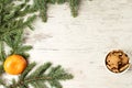 Delicious ginger biscuits. Fir branch. New Year. One tasty tangerine Royalty Free Stock Photo