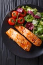 Delicious glazed salmon fillet with sesame and a salad of fresh Royalty Free Stock Photo