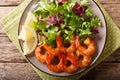 Delicious glazed shrimps with honey and soy sauce and fresh salad close-up. horizontal top view Royalty Free Stock Photo