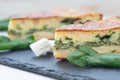 Delicious golden crust spinach feta cheese pie Royalty Free Stock Photo