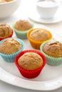 Delicious golden, homemade muffins with colorful paper cups, in a plate on a white background Royalty Free Stock Photo