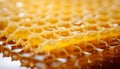 Delicious golden honey and honeycomb on a stylish and contemporary geometric background
