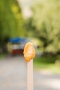 Gooey homemade honey kiwi flavored on popsicle stick