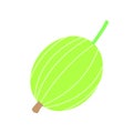 Delicious gooseberry icon