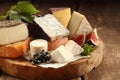 Delicious gourmet cheese platter Royalty Free Stock Photo