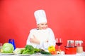 Delicious and gourmet. Cooking food as hobby. Cook looking for cooking recipe in cookbook. Woman reading cook book in Royalty Free Stock Photo