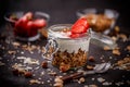 Delicious granola Royalty Free Stock Photo