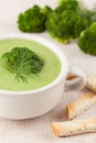 Delicious green broccoli soup traditional recipe