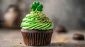 Delicious Green Cupcake Topped With Shamrock Royalty Free Stock Photo