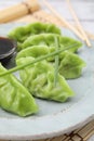 Delicious green dumplings (gyozas) and soy sauce on white bamboo mat, closeup Royalty Free Stock Photo