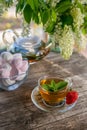 Delicious green mint strawberry tea in a transparent glass teapot and Cup in the summer, on a rustic wooden table with strawberrie Royalty Free Stock Photo