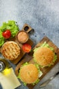 Delicious grilled burgers, hamburger sandwich with cutlet of chicken meat, melted cheese, tomatoes and bacon Royalty Free Stock Photo