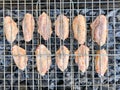 Delicious Grilled chicken on barbecue. Chicken wings on the mangal in nature. Picnic Royalty Free Stock Photo