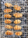 Delicious Grilled chicken on barbecue. Chicken wings on the mangal in nature. Picnic Royalty Free Stock Photo