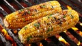 Delicious grilled corn on bbq with flames, creating the perfect charred summer delight Royalty Free Stock Photo