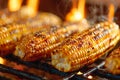 Delicious grilled corn on the cob cooked over a bbq in a charming backyard scene Royalty Free Stock Photo