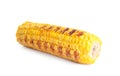 Delicious grilled corn cob isolated on white Royalty Free Stock Photo