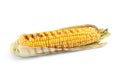Delicious grilled corn cob isolated on white Royalty Free Stock Photo