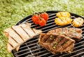Delicious grilled lunch on a barbecue Royalty Free Stock Photo
