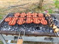 Delicious Grilled meat on barbecue. Meat on the mangal in nature. Royalty Free Stock Photo