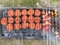 Delicious Grilled meat on barbecue. Meat on the mangal in nature. Picnic. Close Up Royalty Free Stock Photo