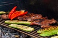 Delicious grilled meat with vegetables. grilling steaks