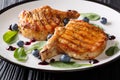 Delicious grilled pork fillet steak with rib served with blueberry sauce and baby spinach closeup on a plate on a table. Royalty Free Stock Photo