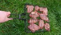 Delicious grilled pork meat in BBQ Barbecue with pork meat. Kebabs on the grill. Close-Up Of Meat On Barbecue Grill on green grass Royalty Free Stock Photo