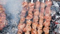 Delicious grilled pork meat in BBQ Barbecue with pork meat. Kebabs on the grill. Close-Up Of Meat On Barbecue Grill With Smoke Royalty Free Stock Photo