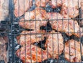 Delicious grilled pork meat in BBQ Barbecue with pork meat. Kebabs on the grill. Close-Up Of Meat On Barbecue Grill With Smoke Royalty Free Stock Photo