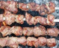 Delicious grilled pork meat in BBQ Barbecue with pork meat. Kebabs on the grill. Close-Up Of Meat On Barbecue Grill With Smoke Royalty Free Stock Photo