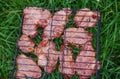 Delicious grilled pork meat in BBQ Barbecue with pork meat. Kebabs on the grill. Close-Up Of Meat On Barbecue Grill on green grass Royalty Free Stock Photo