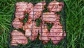 Delicious grilled pork meat in BBQ Barbecue with pork meat. Kebabs on the grill. Close-Up Of Meat On Barbecue Grill on green grass Royalty Free Stock Photo