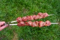 Delicious grilled pork meat in BBQ Barbecue with pork meat. Kebabs on the grill. Close-Up Of Meat On Barbecue Grill on green grass Royalty Free Stock Photo