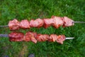 Delicious grilled pork meat in BBQ Barbecue with pork meat. Kebabs on the grill. Close-Up Of Meat On Barbecue Grill on green grass Royalty Free Stock Photo