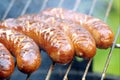 Delicious grilled sausages closeup